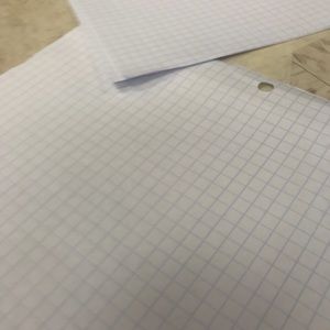 Meet your Posher, Lacey